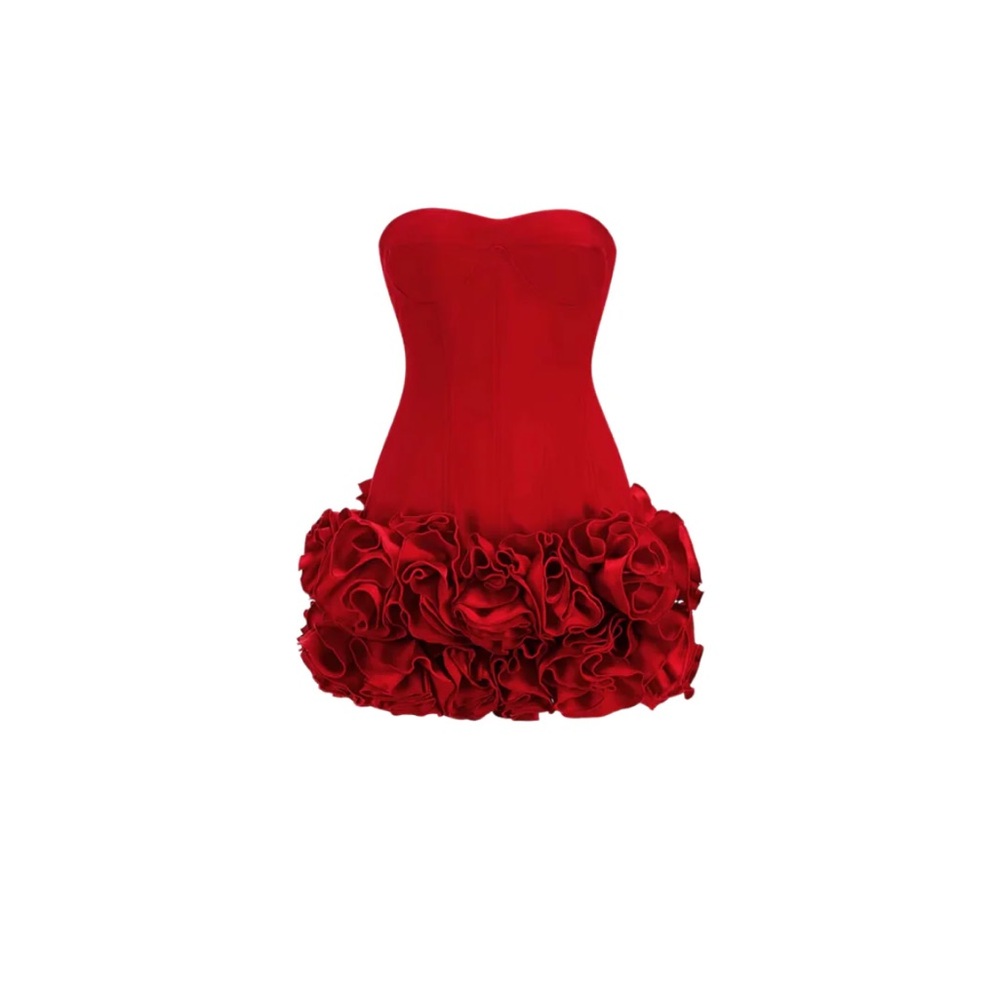 Red Corset dress